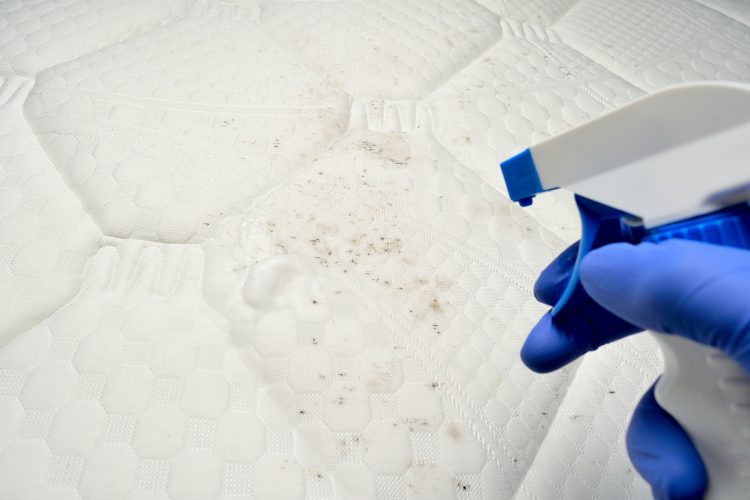 Cómo limpiar la base tapizada del colchón